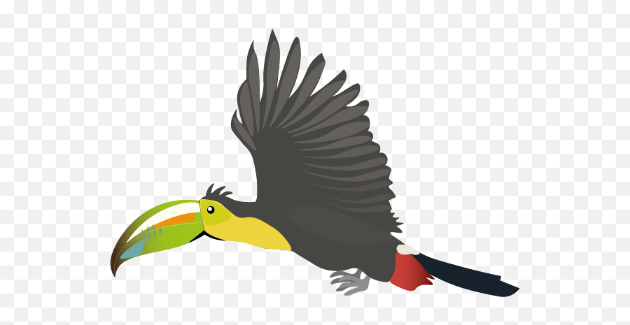 Flying Animation - Toucan Png,Toucan Png