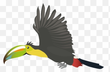Flying Animation - Toucan Png,Toucan Png