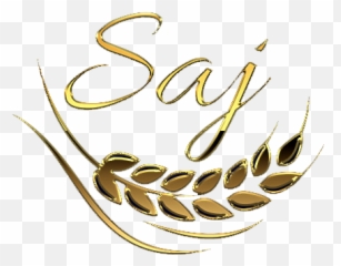 Saj - New Orleans LA Decorative png