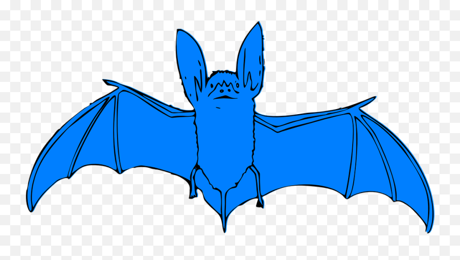 Halloween Bats Clipart 25 Buy Clip Art - Bat Clip Art Png,Halloween Bats Png