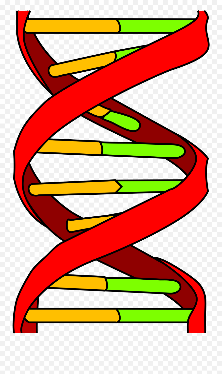 November 16 Genetics And Cancer - Treatment Therapies Dna Icon Png,Genetics Icon