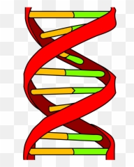 November 16 Genetics And Cancer - Treatment Therapies Dna Icon png