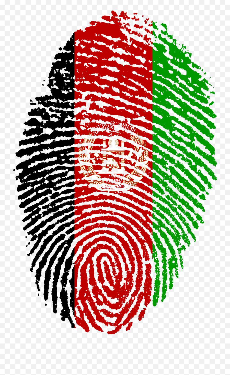 Afghanistan Flag Transparent Cartoon - Drapeaux Du Senegal Png,Afghanistan Flag Icon