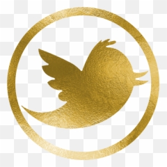 Download Hd Twitter - Gold Logo Transparent In png