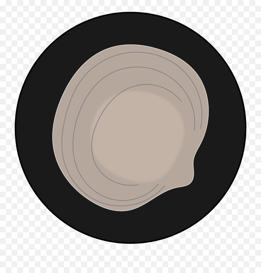 Filelucinid Iconsvg - Wikimedia Commons Solid Png,Clam Icon