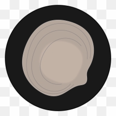 Filelucinid Iconsvg - Wikimedia Commons Solid png