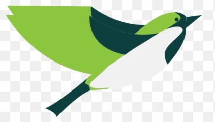 Updated Copiosus P2p Chat Mod App Download For Pc - Songbirds png