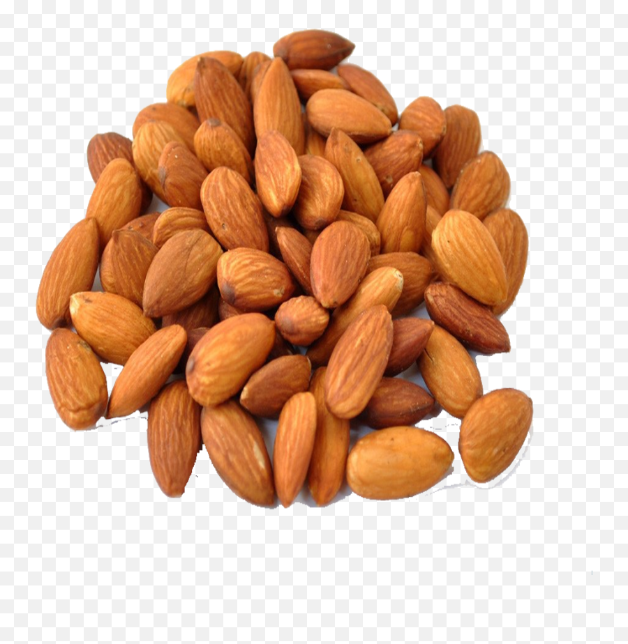 Almond Png Images Free Download - Roasted Almonds Png,Almonds Png