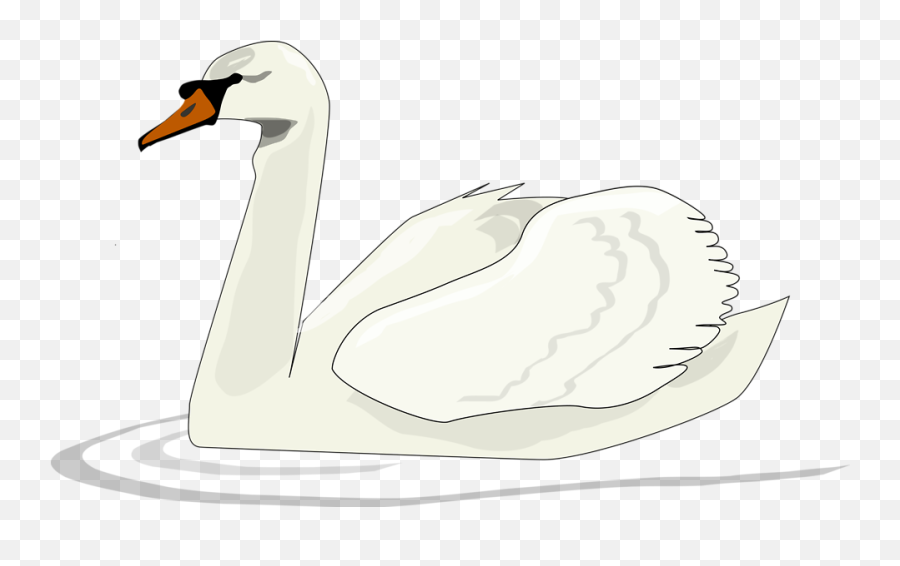 Swan Art Clipart Png