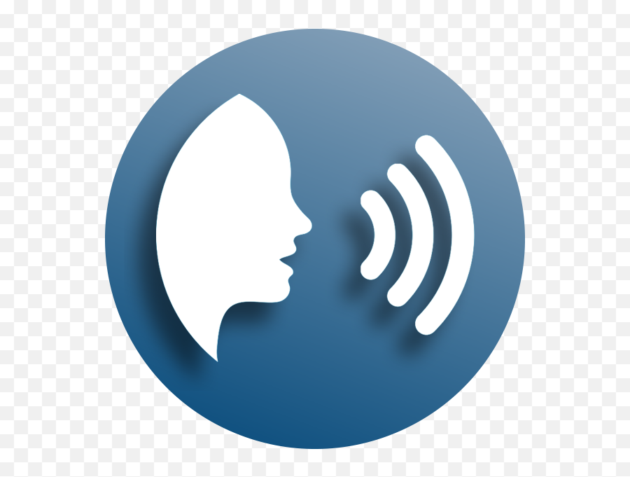 Our Services - Salt Translation Png,Voice Control Icon