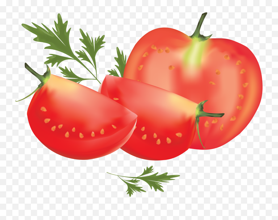 Tomato Png Image Without Background Clipart