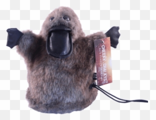Poppy The Platypus - Cheeky Chalkys Png,Platypus Png
