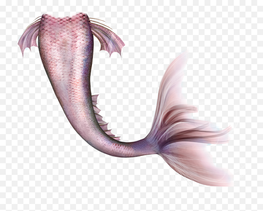 Mermaid Legendary Creature Fairy Tail - Long Mermaid Tail Png,Mermaid Tail Png
