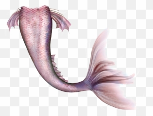 Mermaid Legendary Creature Fairy Tail - Long Mermaid Tail Png,Mermaid Tail Png