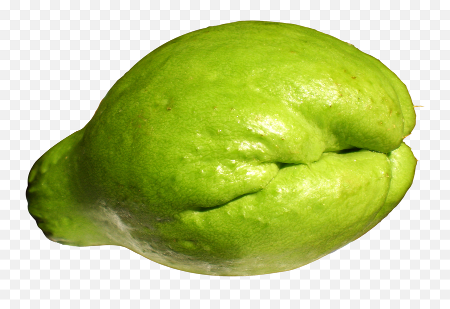 Download Fresh Chayote Png Image For Free - Chayote Png,Squash Png