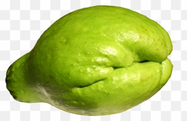 Download Fresh Chayote Png Image For Free - Chayote Png,Squash Png
