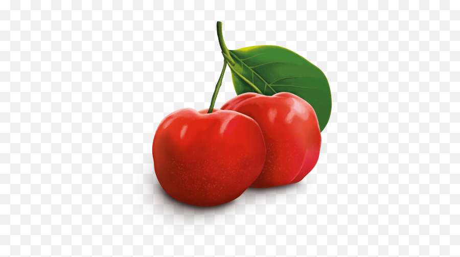 Acerola Cherry Png 4 Image - Cherry,Cherry Png