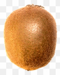 Kiwi Small 1 Pc Png Transparent