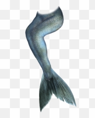 Mermaid Tail Clip Art - betta png download 9001433 Free Transparent Png