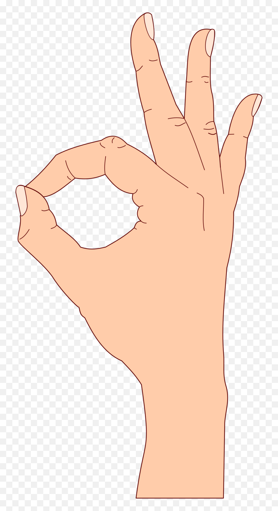 Ok Hand Png - This Png File Is About Ok Gesture Okay Ok Hand Sign Clipart,Ok Png