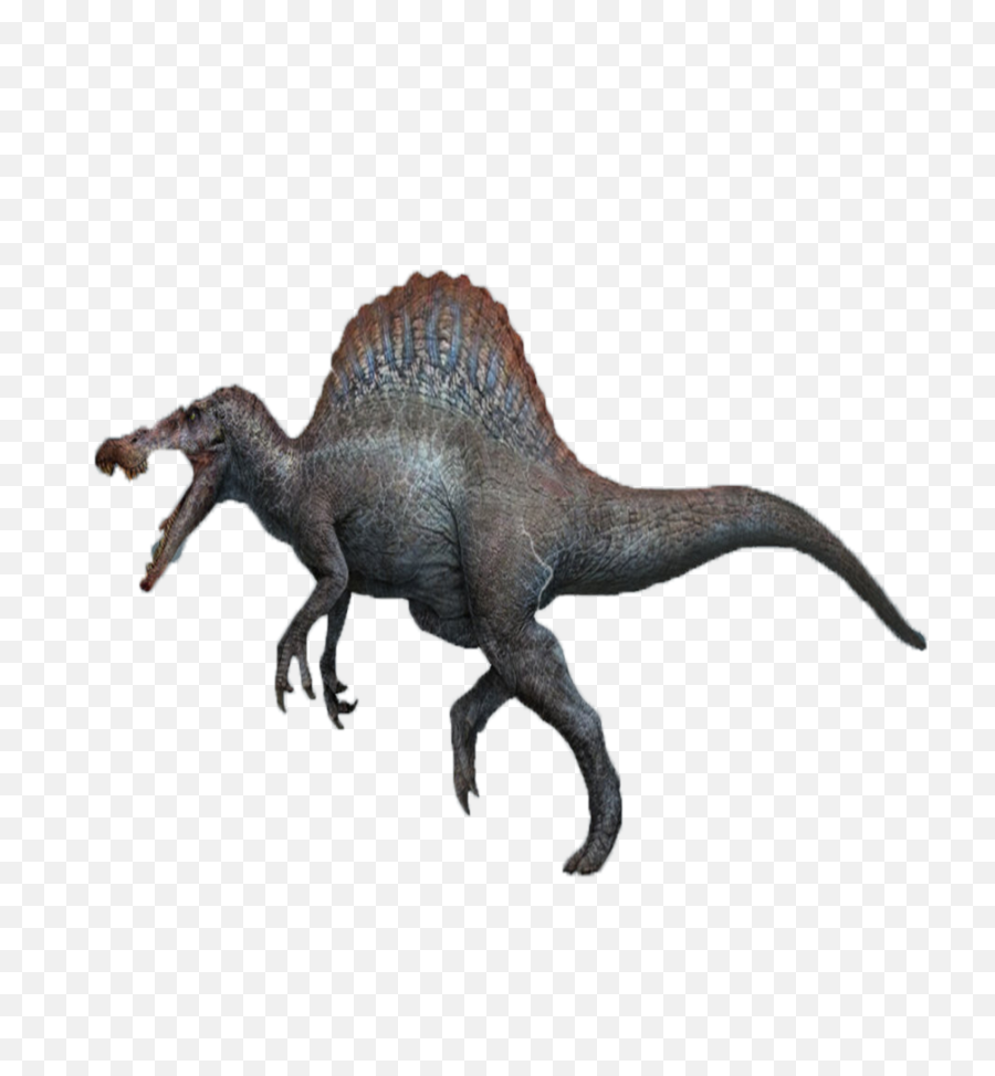 Spinosaurus Transparent Background - Transparent Spinosaurus Png,Jurassic Park Png