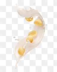 Soya Bean Milk Splash Hd Png Download