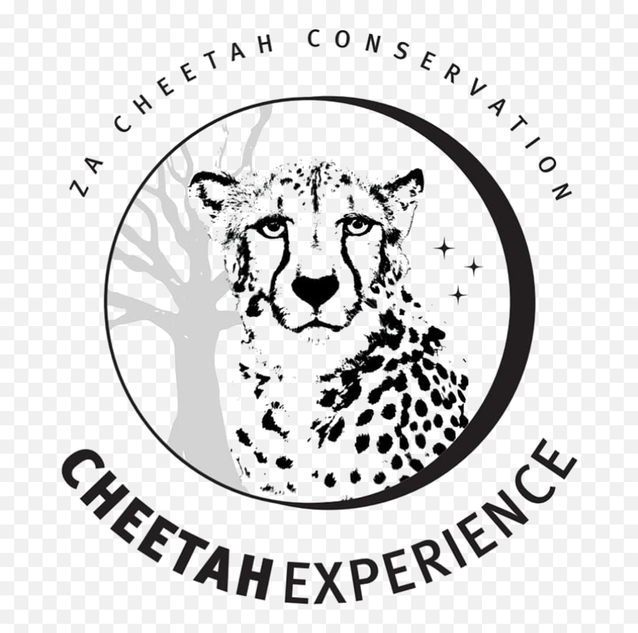 Za Cheetah Conservation - Mzanzitravel Magazine Hidden Gems Cheetah Experience Logo Png,Cheetah Logo