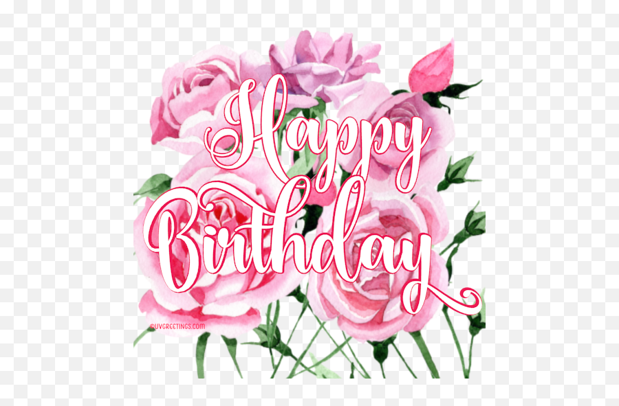 Happy Birthday - Floral Stickers Perfect For Whatsapp Nice Happy Birthday Sticker Png,Pink Rose Transparent Background