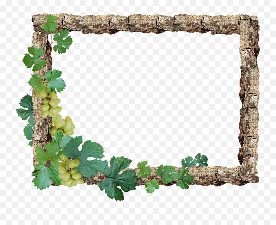 Download Free Png Photo Wood Border Rustic Grapes Frame - Border Rustic Frame,Wood Picture Frame Png