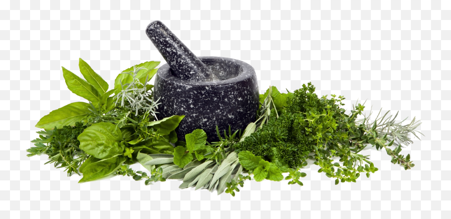 Herb High Quality Png All - Mortar And Pestle Herb,Mint Leaves Png