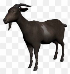Download Goat Png Transparent Image - Red Dead Redemption Goat,Goats Png