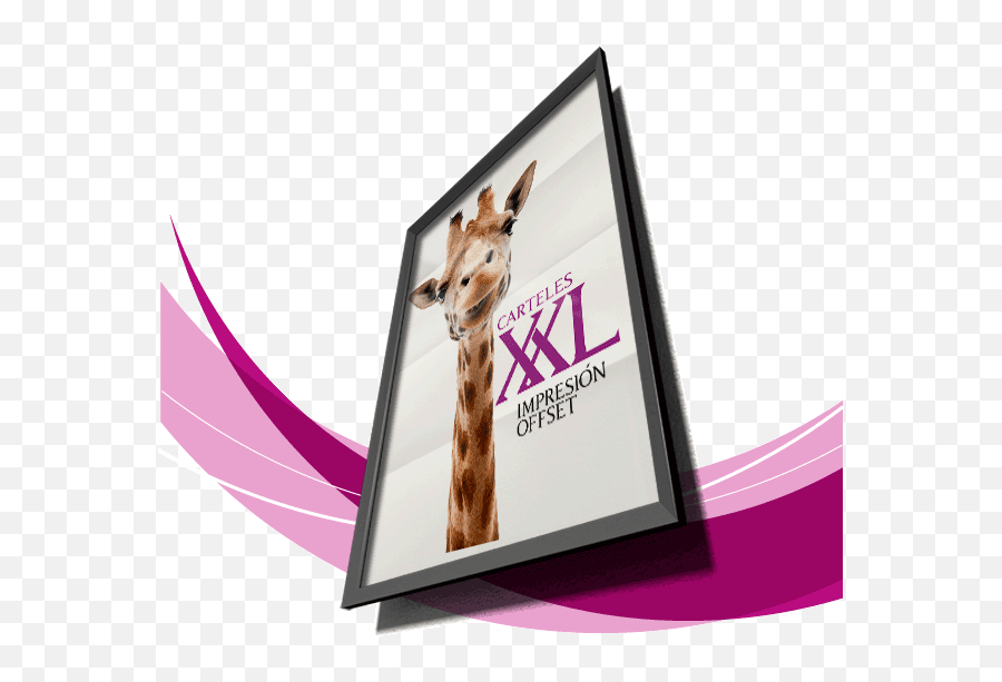 Xxl Offset Posters - Xxl Posters Download Png,Xxl Magazine Logo