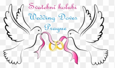 Partners - Dove Of Peace Oval Ornament Full Lovely png