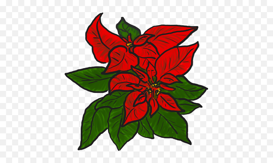 Free Poinsettia Pictures Download Clip Art - Clip Art Png,Poinsettia Transparent Background