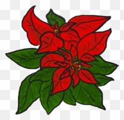 Free Poinsettia Pictures Download Clip Art - Clip Art Png,Poinsettia Transparent Background
