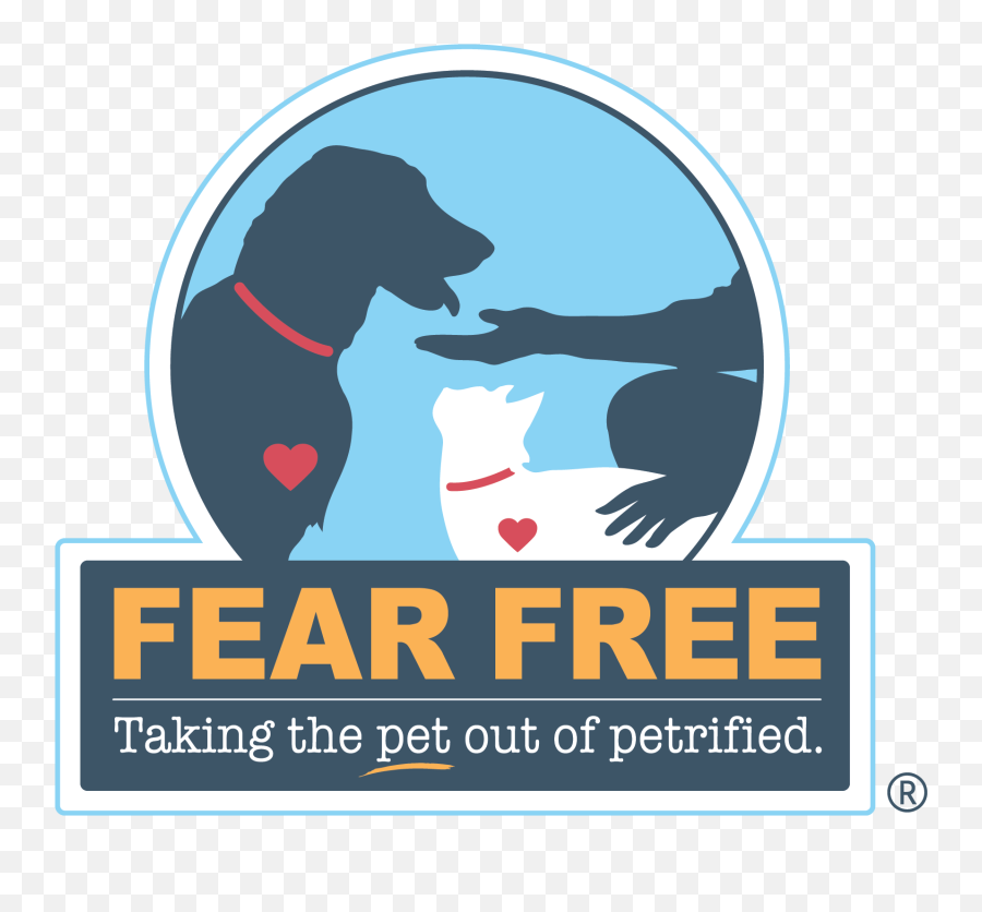 Fear Free Happy Homes Help Pets Live Lives - Love You More Than Png,Pet Png