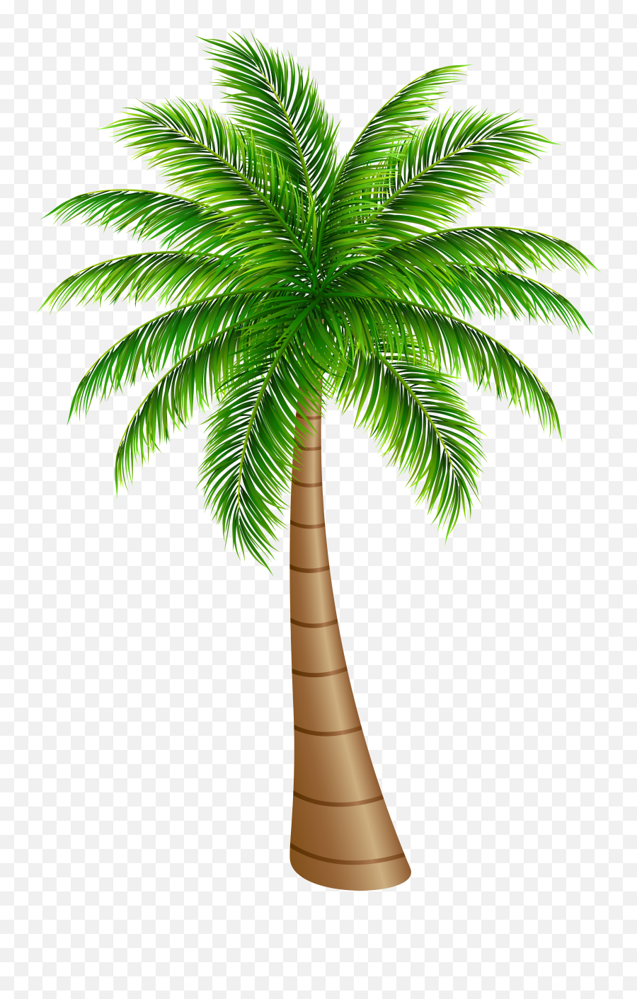 Library Of Palm Tree With Hammock Picture Free Download Png - Palm Tree Clipart,Palm Tree Logo Png