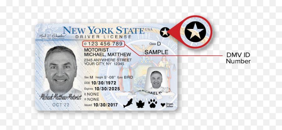 Sample New York Dmv Photo Documents - Autistic Drivers License Png,Dmv Icon