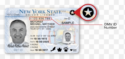 Sample New York Dmv Photo Documents - Autistic Drivers License png