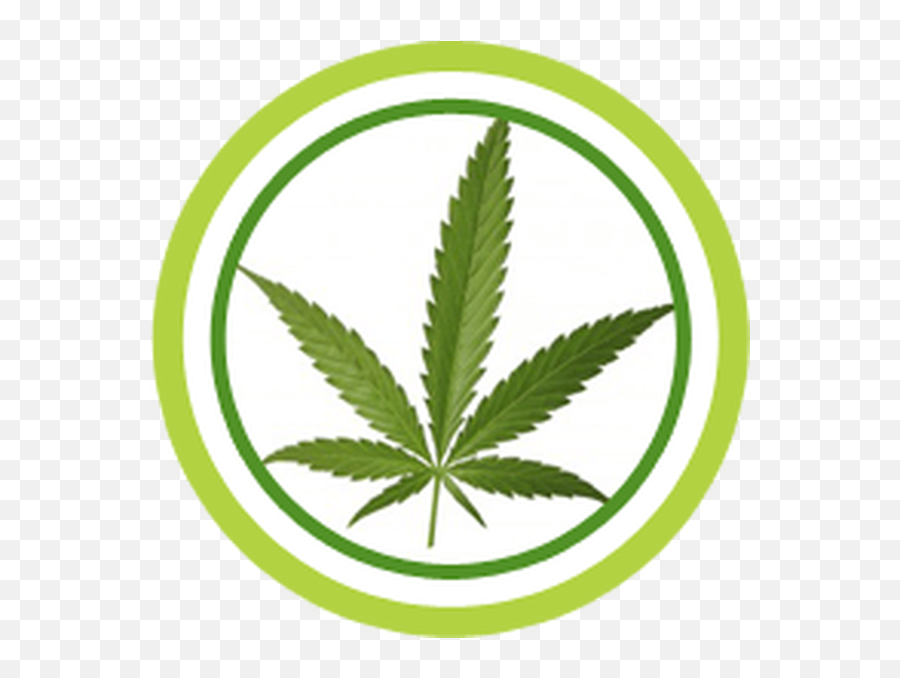 Alberta - Medical Marijuana Png,Seve Icon Golf Shoes