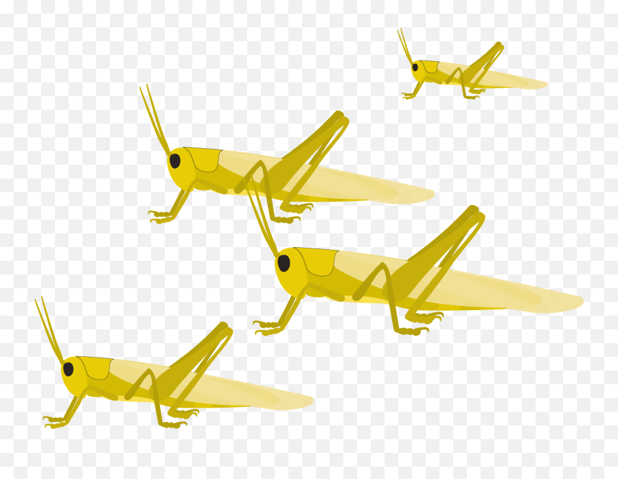 Phocus Target Locusts From Within - Monoplane Png,Icon A5 Model Airplane