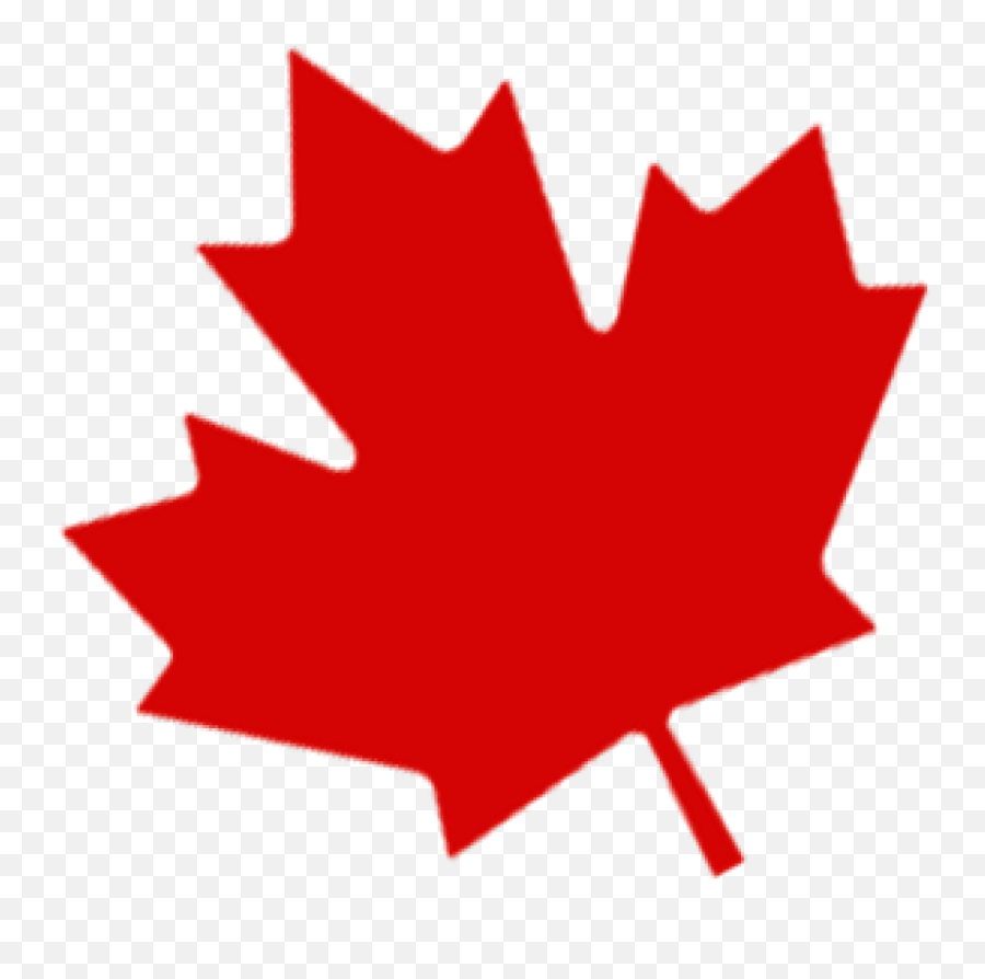 Canada Leaf Png Images Transparent - Transparent Background Maple Leaf Png,Canada Maple Leaf Png