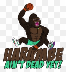 Harambe Ainu0027t Dead Yet U2013 Rte Sports - Poster Png,Harambe Transparent