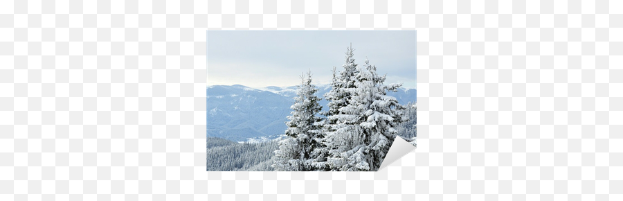 Snowy Trees Sticker U2022 Pixers We Live To Change - Snow Png,Snowy Trees Png