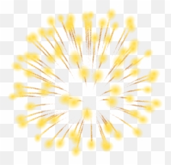 Transparent Png Svg Vector File - Macro Photography,Gold Fireworks Png