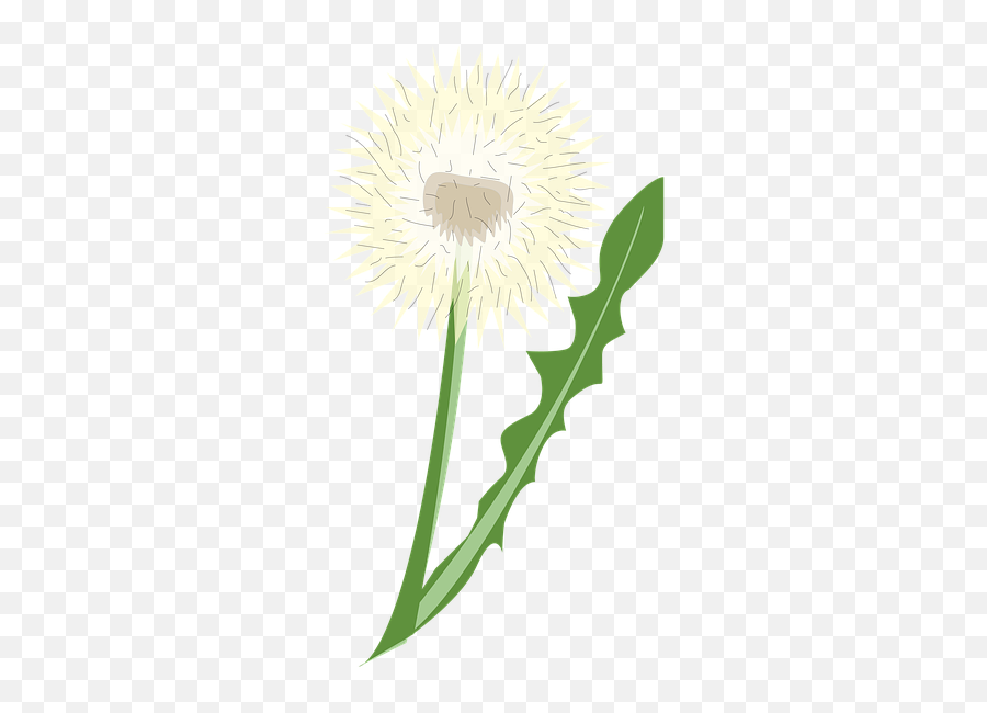 Flower Icon Symbol - Free Image On Pixabay Flower Png,Yellow Flower Icon