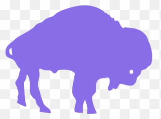 Metro Rail Ebscer News - White Buffalo Bills Background png