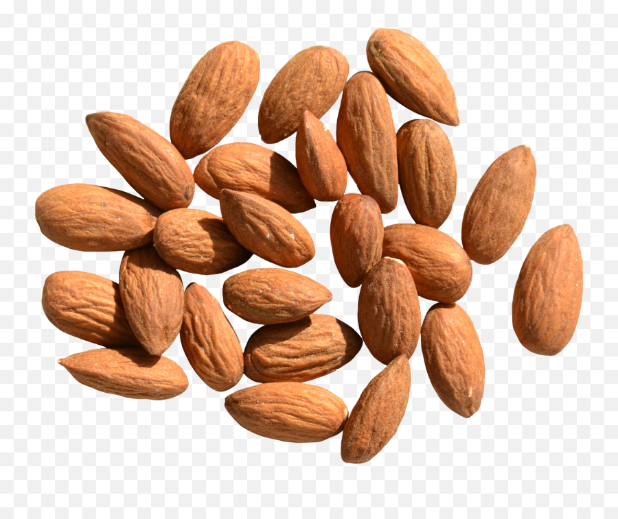 Pin - Almond Oil For Breast Png,Almonds Png