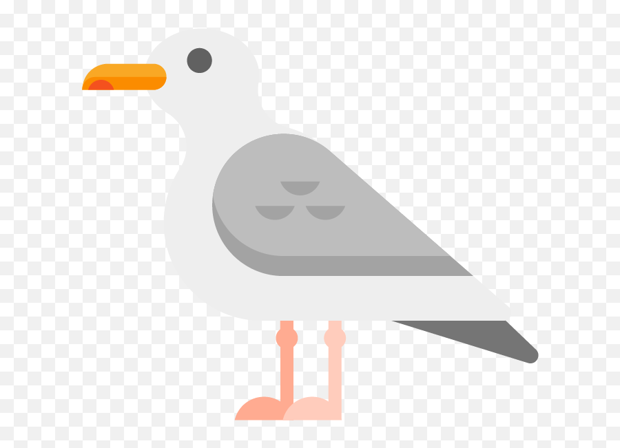 Nereid - Seabird Png,Seagull Png