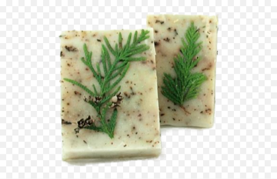 Cypress Cesar Juniper Soap 100g - Dessert Png,Juniper Png